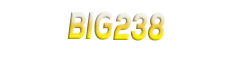 BIG238